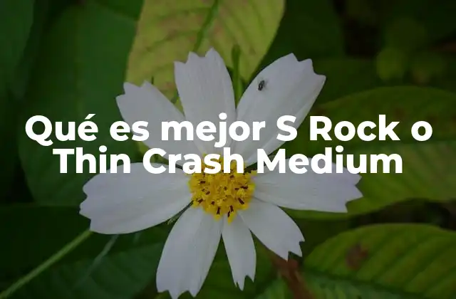 Qué es Mejor S Rock o Thin Crash Medium