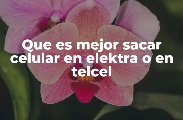 Que es Mejor Sacar Celular en Elektra o en Telcel