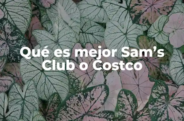 Qué es Mejor Sam’s Club o Costco