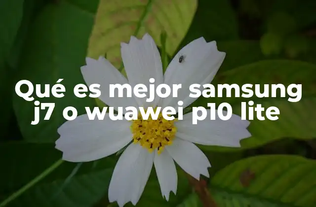 Qué es Mejor Samsung J7 o Wuawei P10 Lite