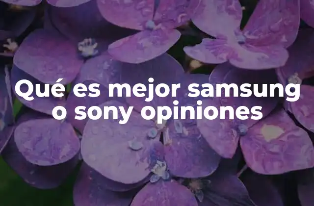 Qué es Mejor Samsung o Sony Opiniones