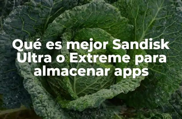 Qué es Mejor Sandisk Ultra o Extreme para Almacenar Apps