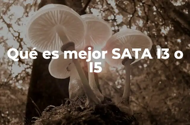Qué es Mejor Sata I3 o I5