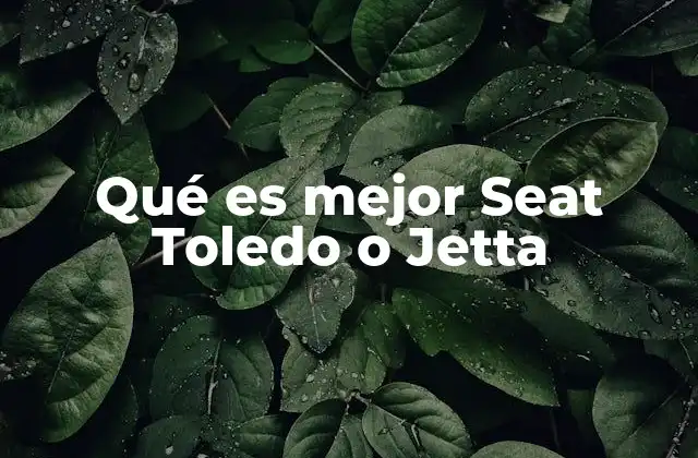 Qué es Mejor Seat Toledo o Jetta