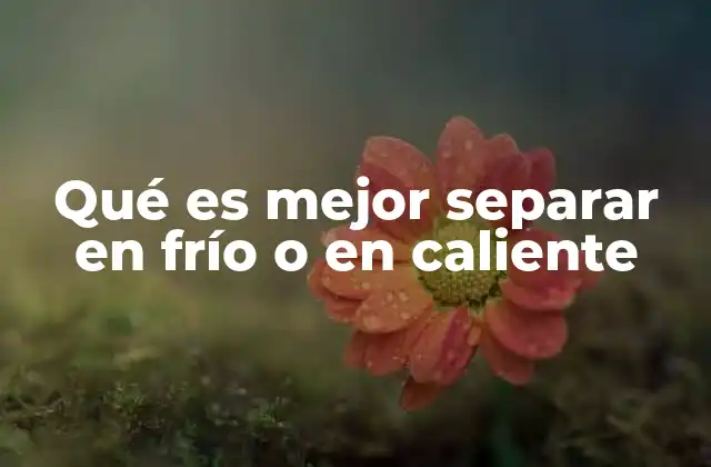 Qué es Mejor Separar en Frío o en Caliente