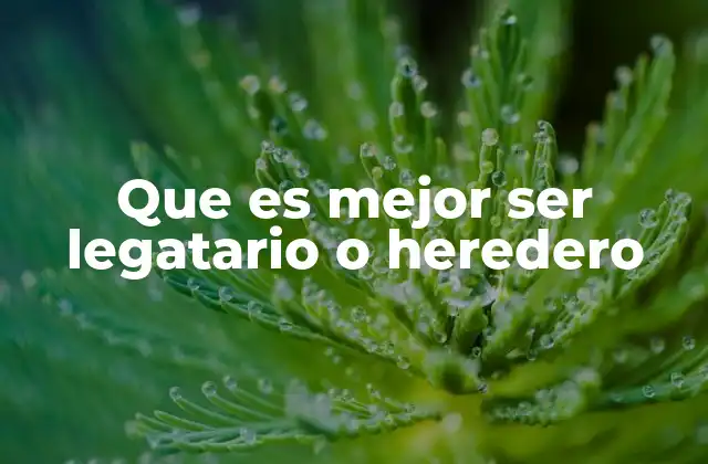 Que es Mejor Ser Legatario o Heredero