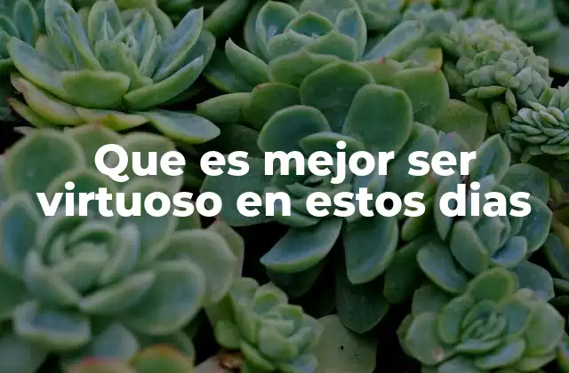 Que es Mejor Ser Virtuoso en Estos Dias 2 La búsqueda de la excelencia moral en tiempos de incertidumbre
