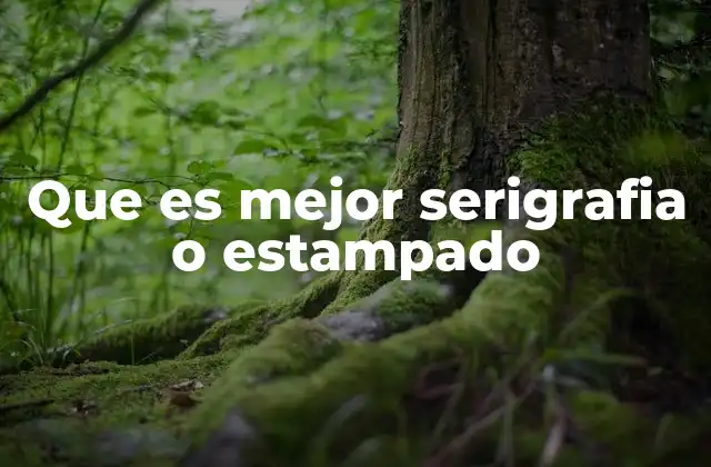 Que es Mejor Serigrafia o Estampado