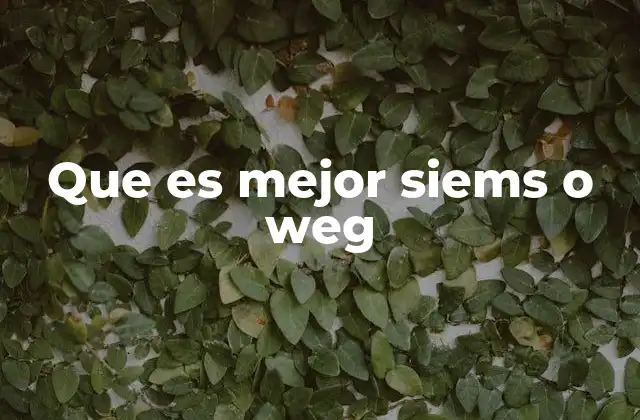 Que es Mejor Siems o Weg