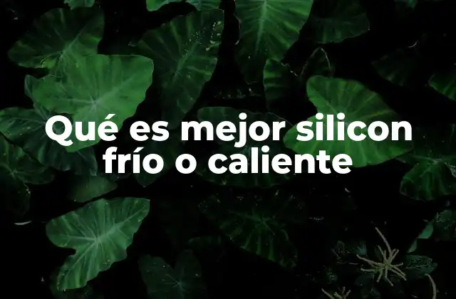 Qué es Mejor Silicon Frío o Caliente