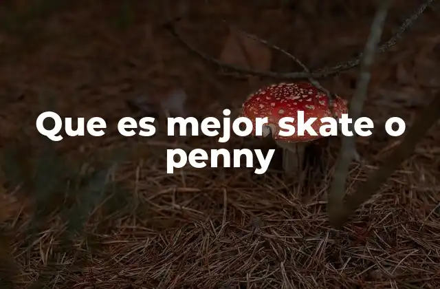 Características que diferencian ambos tipos de patines