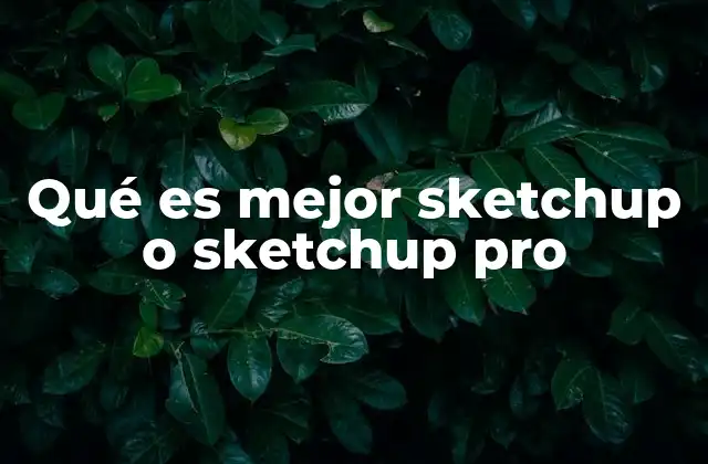 Qué es Mejor Sketchup o Sketchup Pro