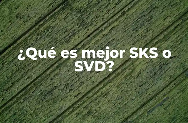 ¿qué es Mejor Sks o Svd?