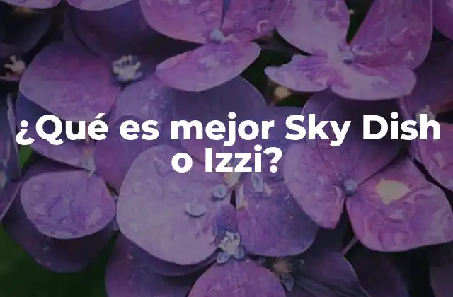 ¿qué es Mejor Sky Dish o Izzi?