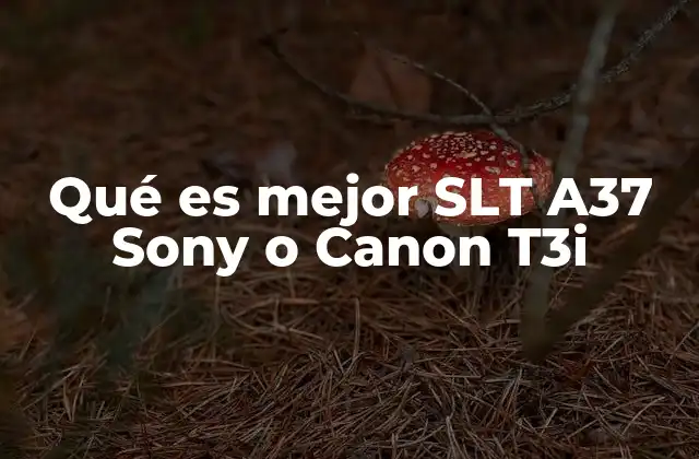 Qué es Mejor Slt A37 Sony o Canon T3i