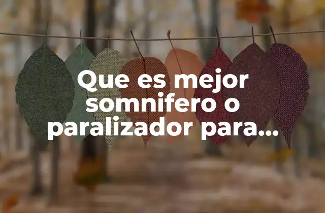 Que es Mejor Somnifero o Paralizador para Pokemon Odri