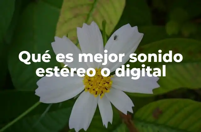 Qué es Mejor Sonido Estéreo o Digital