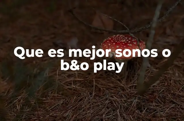 Que es Mejor Sonos o B&o Play