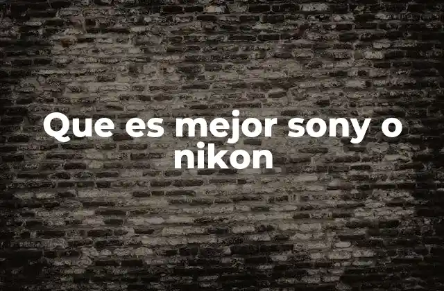 Que es Mejor Sony o Nikon 2 Comparación de rendimiento entre las cámaras de Sony y Nikon