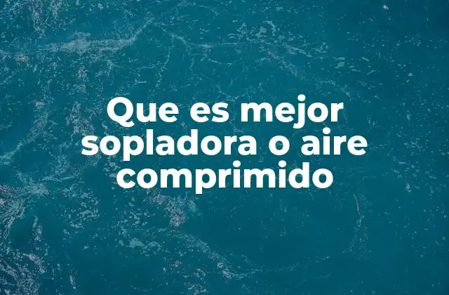 Que es Mejor Sopladora o Aire Comprimido