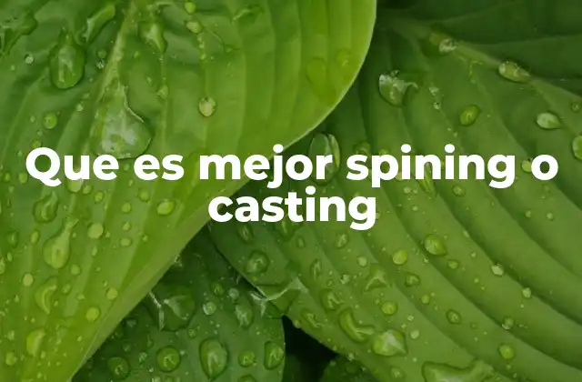 Que es Mejor Spining o Casting