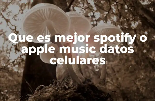 Que es Mejor Spotify o Apple Music Datos Celulares
