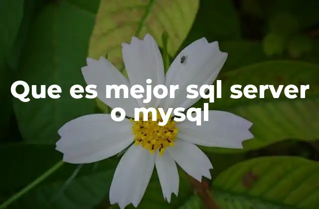 Que es Mejor Sql Server o Mysql