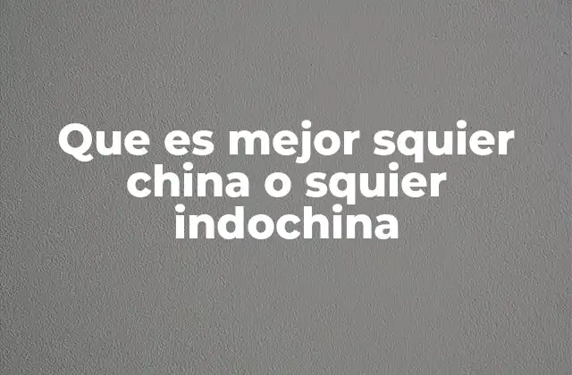 Características clave que diferencian una Squier China de una Squier Indochina