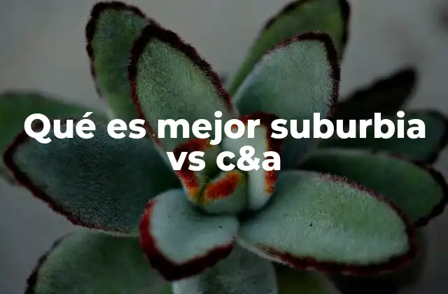 Qué es Mejor Suburbia Vs C&a
