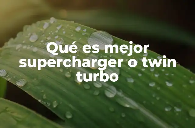 Qué es Mejor Supercharger o Twin Turbo 2 Rendimiento y dinámica de motor: una comparación detallada