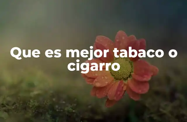 Que es Mejor Tabaco o Cigarro