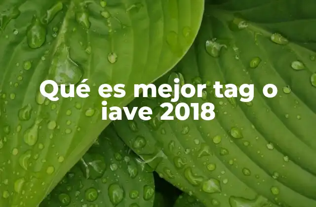 Qué es Mejor Tag o Iave 2018