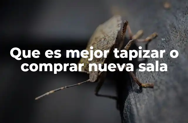 Que es Mejor Tapizar o Comprar Nueva Sala