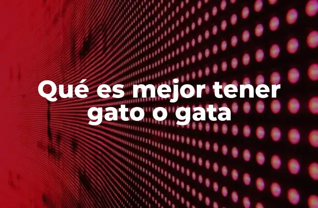 Qué es Mejor Tener Gato o Gata