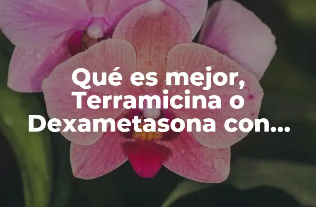 Qué es Mejor, Terramicina o Dexametasona con Neomicina 2 Cuándo utilizar cada uno sin mencionar directamente la palabra clave