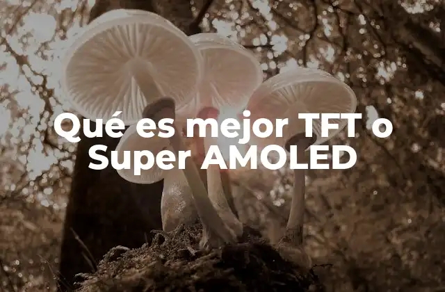 Qué es Mejor Tft o Super Amoled