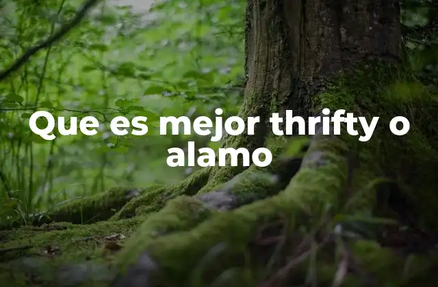 Que es Mejor Thrifty o Alamo 2 Características clave para comparar empresas de alquiler de autos