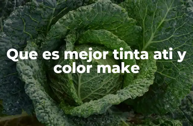 Que es Mejor Tinta Ati y Color Make