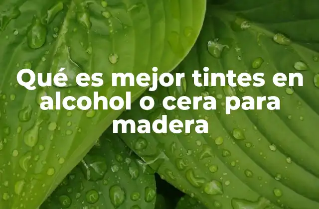 Qué es Mejor Tintes en Alcohol o Cera para Madera