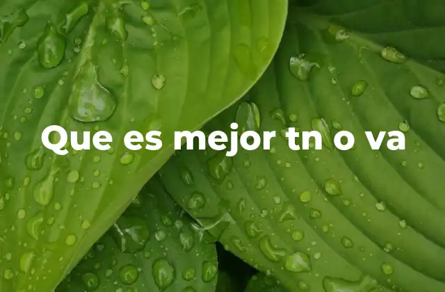 Que es Mejor Tn o Va