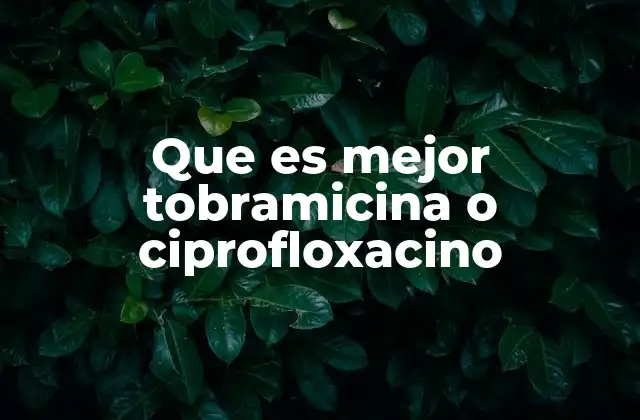 Que es Mejor Tobramicina o Ciprofloxacino 2 Comparando espectros antibacterianos y mecanismos de acción