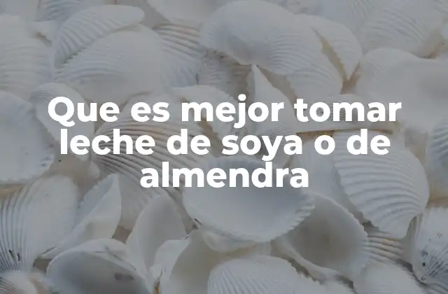 Que es Mejor Tomar Leche de Soya o de Almendra