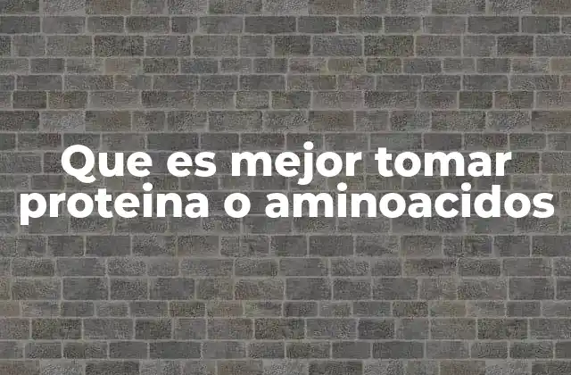 Cómo el cuerpo procesa la proteína y los aminoácidos