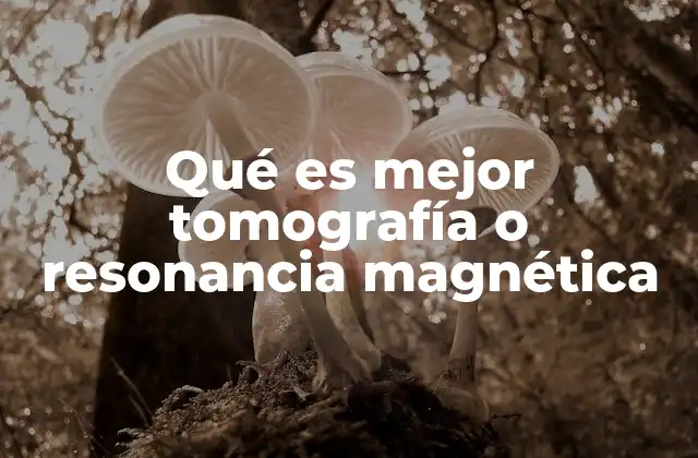 Qué es Mejor Tomografía o Resonancia Magnética