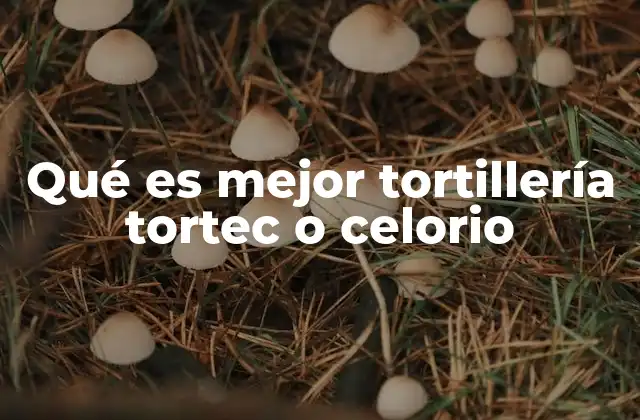 Características de las tortillerías Tortec y Celió