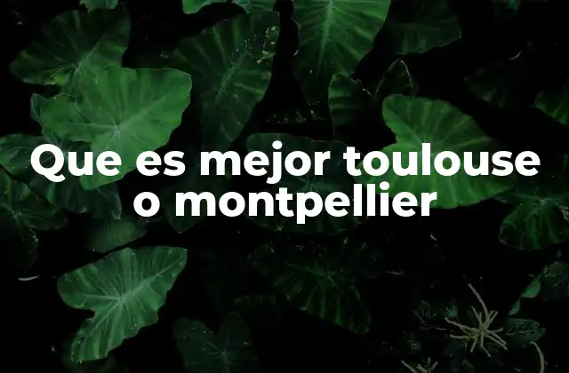 Que es Mejor Toulouse o Montpellier