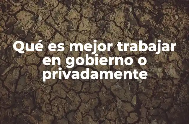 Qué es Mejor Trabajar en Gobierno o Privadamente