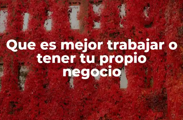 Que es Mejor Trabajar o Tener Tu Propio Negocio