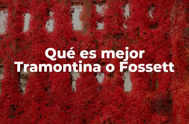 Qué es Mejor Tramontina o Fossett