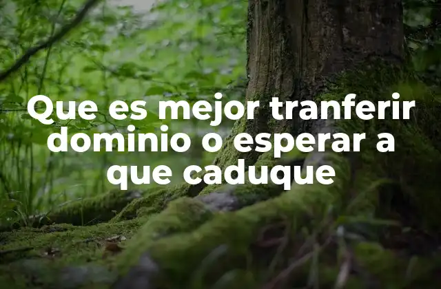 Que es Mejor Tranferir Dominio o Esperar a que Caduque 2 Consideraciones clave antes de decidir el destino de un dominio